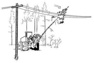 EQUIPMENT OPERATOR DROPS TREE ONTO POWER LINE