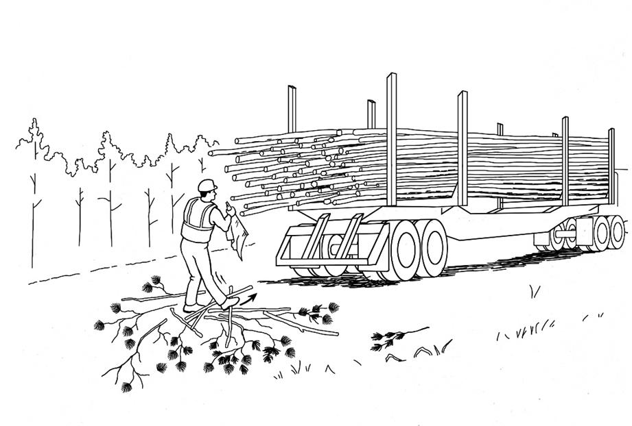 Log Truck Driver Slips On Loose Wood