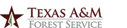Texas A&M Forest Service