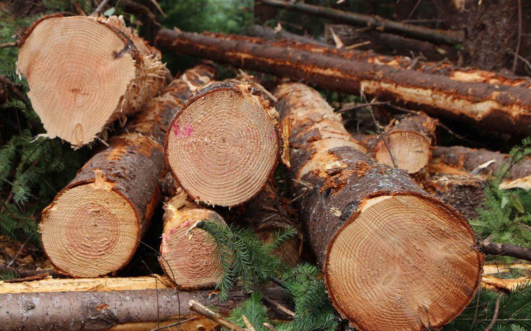 USDA Working To Build Logger Relief Program