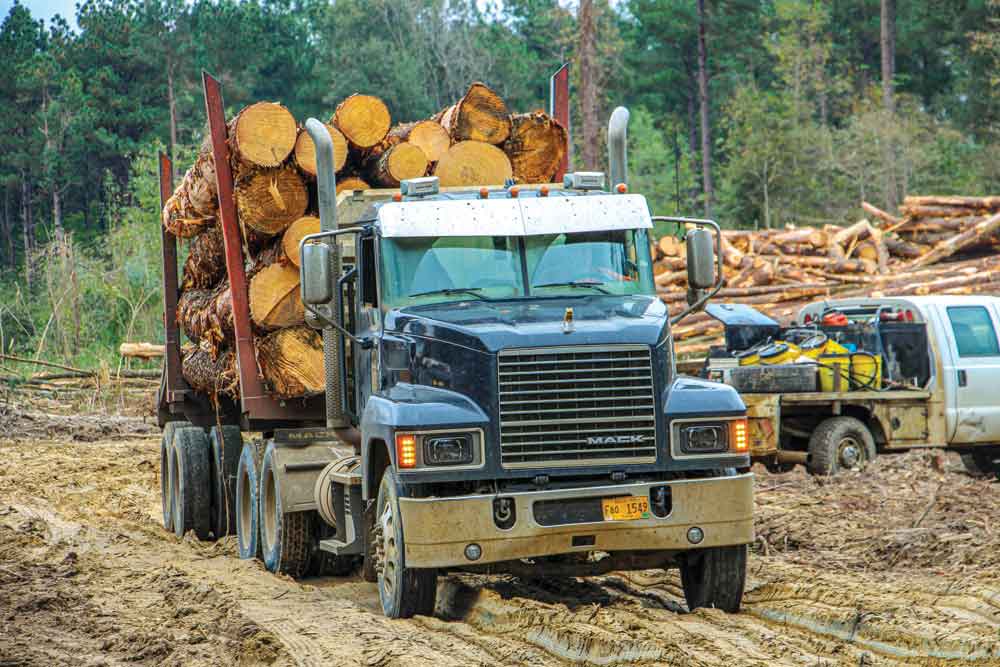 Georgia Seeks To Raise Log Load Limits