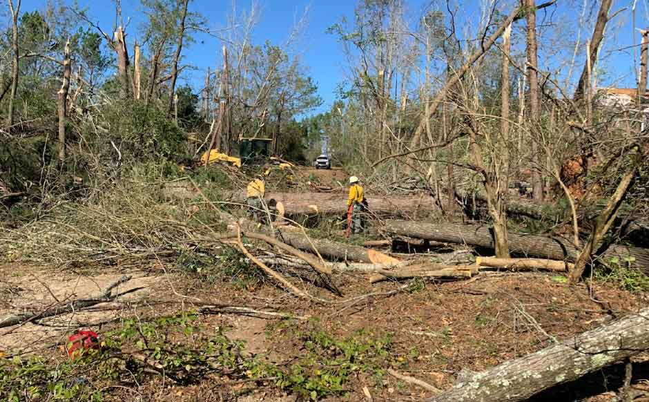 Northeast Texas Tornadoes Cause Estimated $13 Million In Damage To Timber