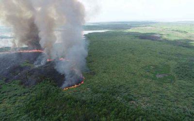 Louisiana Grapples With Largest Ever Wildfire