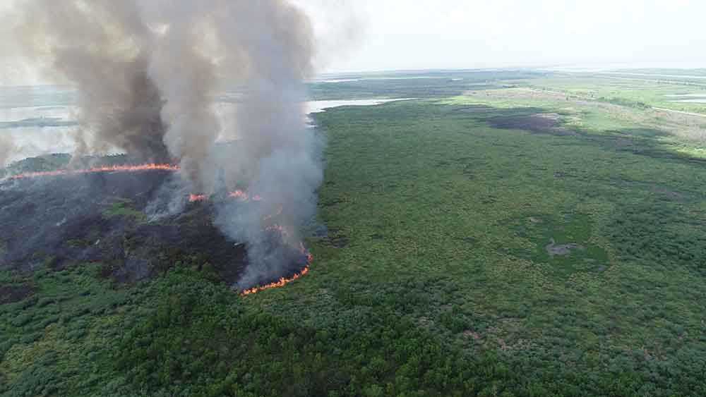 Louisiana Grapples With Largest Ever Wildfire