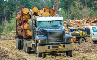Alabama Seeks New Weight Limits