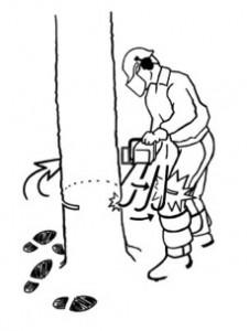 SAW CHAPS SAVE FORESTER FROM SERIOUS INJURY