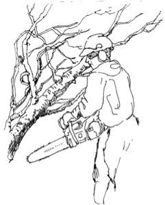 LIMB STRIKES FELLER IN FACE