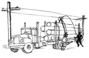 LOGGER ELECTROCUTED WHILE TRIMMING LOAD