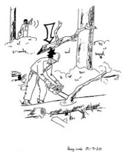 IDENTIFIED BUT IGNORED HAZARD INJURES WOODS WORKER