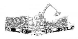 Self-Loader Seat Fails, Toppling Operator