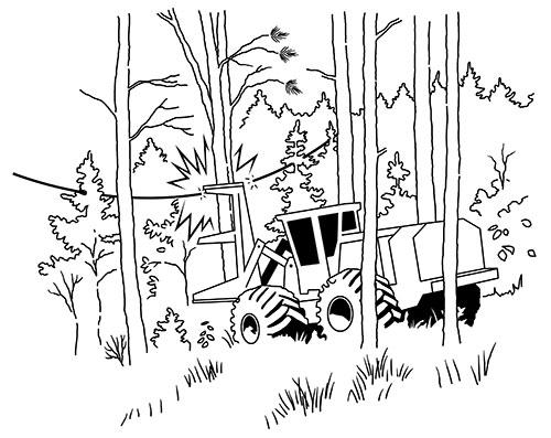 FELLER-BUNCHER OPERATOR BREAKS POWER LINE