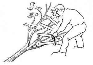 CHAIN SAW KICKBACK TO THE FACE