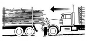 DRIVER CRUSHED BETWEEN TWO LOG TRUCKS