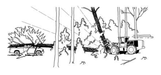 FELLER-BUNCHER DROPS TREE ON CREW MEMBER’S PICKUP TRUCK