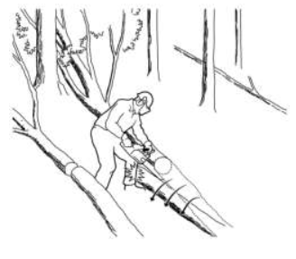 UNSAFE TOPPING AND BUCKING OF A TREE UNDER TENSION