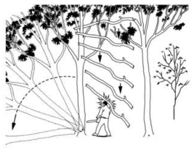 FALLING LIMB KILLS FELLER