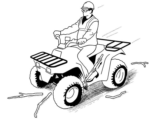 Close Call With An ATV And Large Stick