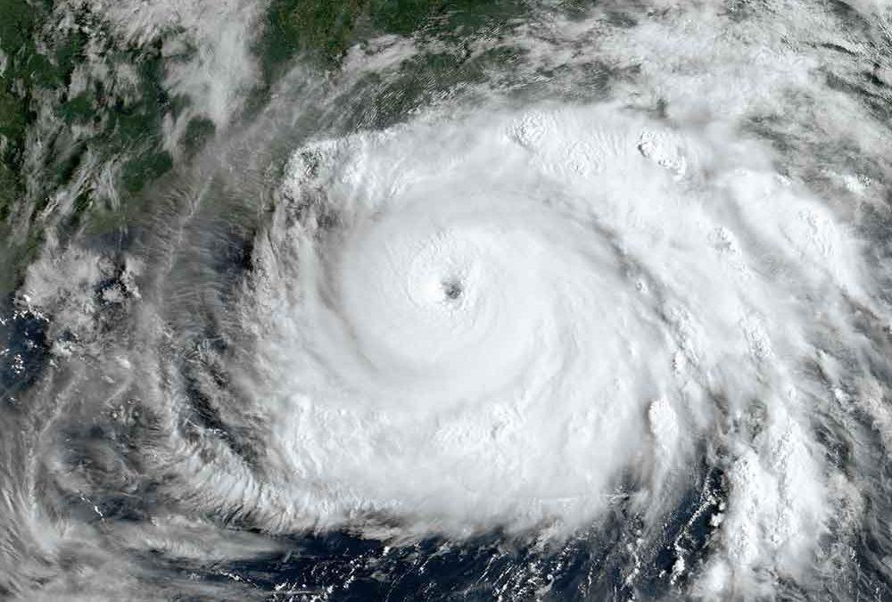 Ida Storm Recovery Needs Loggers, Markets