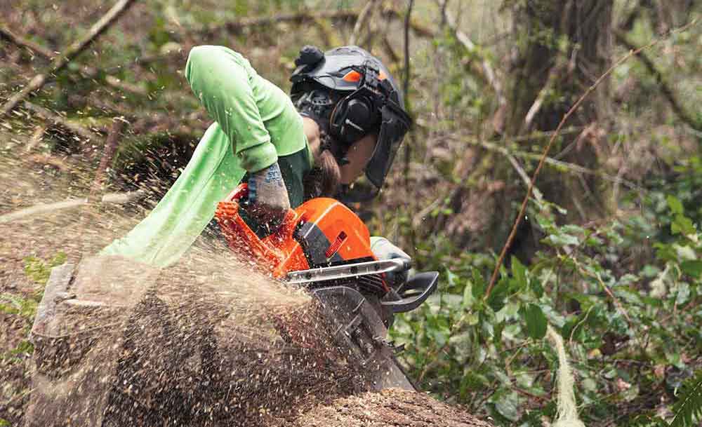 New From Husqvarna: 585 Saw