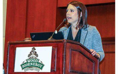 FORISK’S Lang Paints Southern Forests Picture