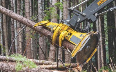 New From John Deere: FR27 Disc Saw Felling Head