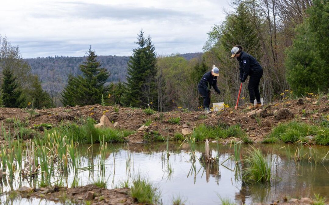 Komatsu Helps Restoration Efforts In West Virginia