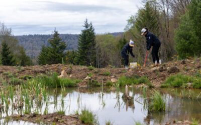 Komatsu Helps Restoration Efforts In West Virginia
