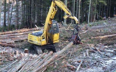 Oregon Facing New Forest Ballot Initiatives